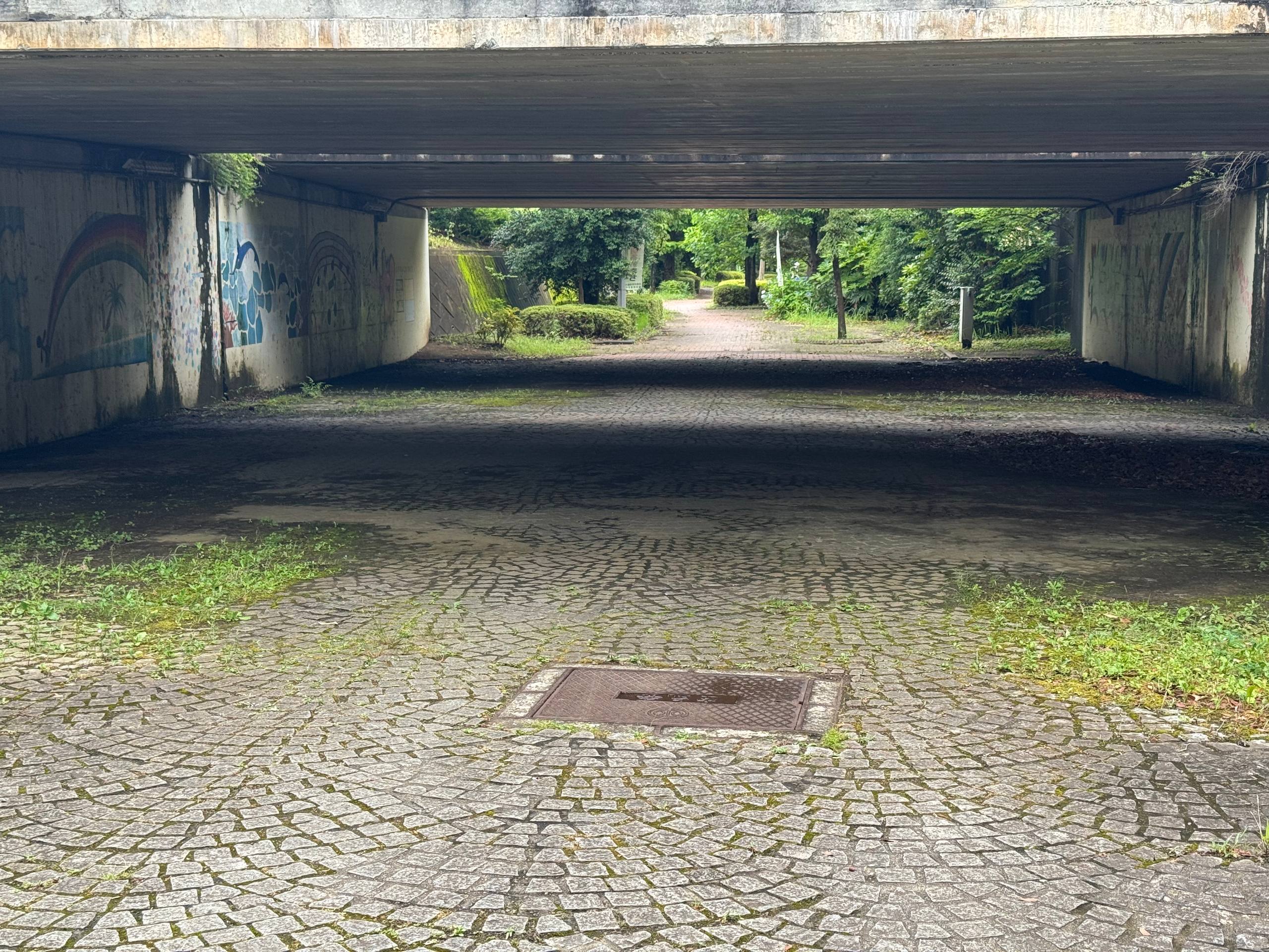 停车场南侧的公路桥下